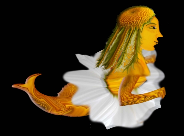 Creation of Daisy fairy: Step 6